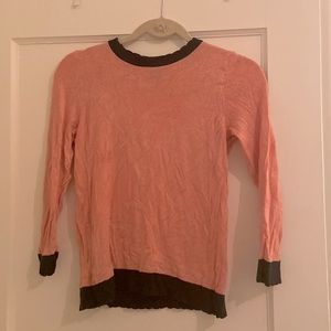 Long sleeve Ann Taylor Pink Blouse with Blue Lining